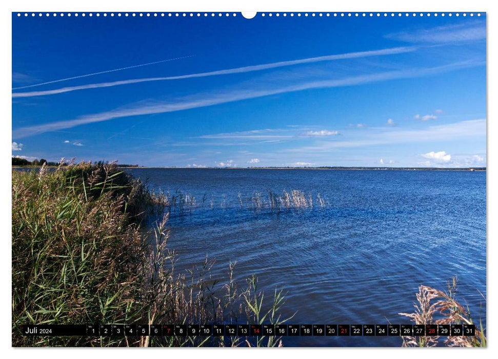Barth - Idyll between the Bodden and the Baltic Sea (CALVENDO Premium Wall Calendar 2024) 