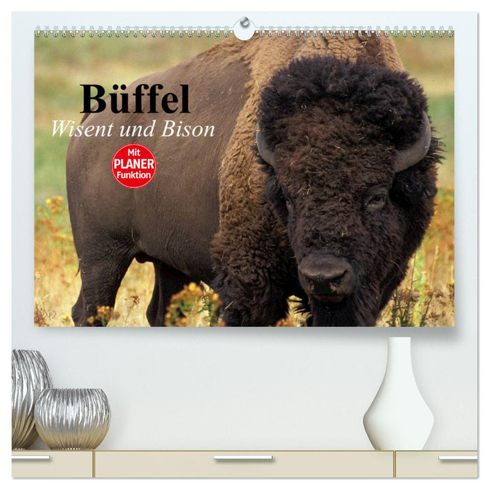 Buffle. Wisent et Bison (Calvendo Premium Calendrier mural 2024) 