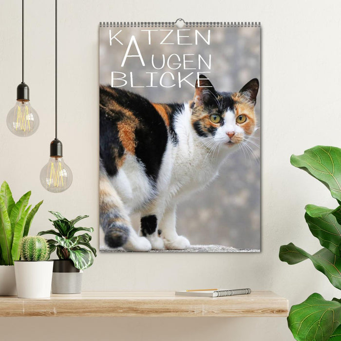 LOOKS YEUX DE CHAT (Calendrier mural CALVENDO 2024) 