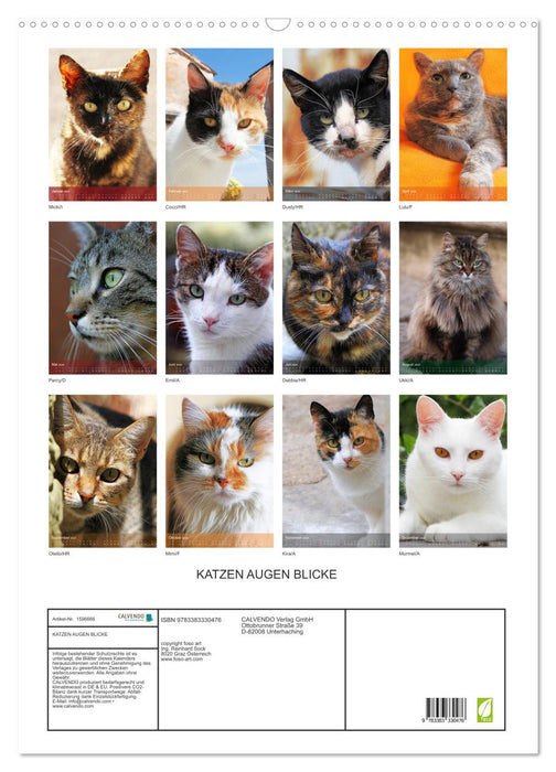 LOOKS YEUX DE CHAT (Calendrier mural CALVENDO 2024) 