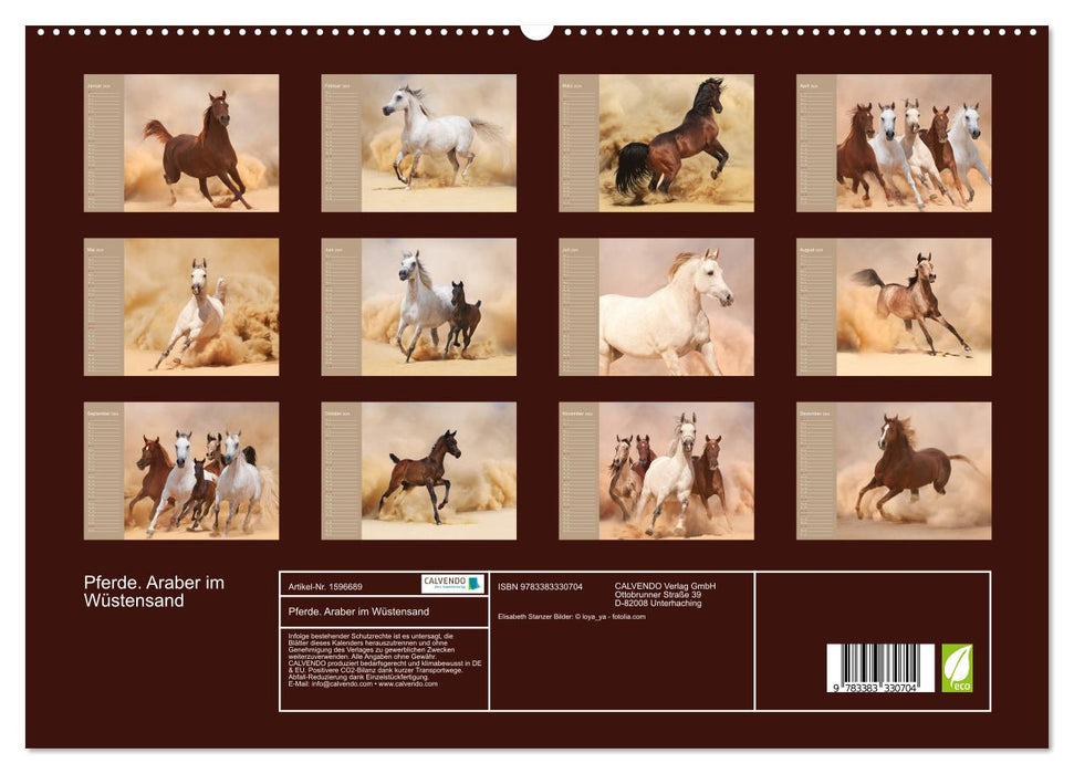Pferde. Araber im Wüstensand (CALVENDO Premium Wandkalender 2024)