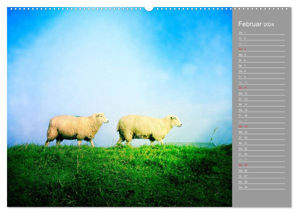 SUR LA DIGUE (Calendrier mural CALVENDO Premium 2024) 