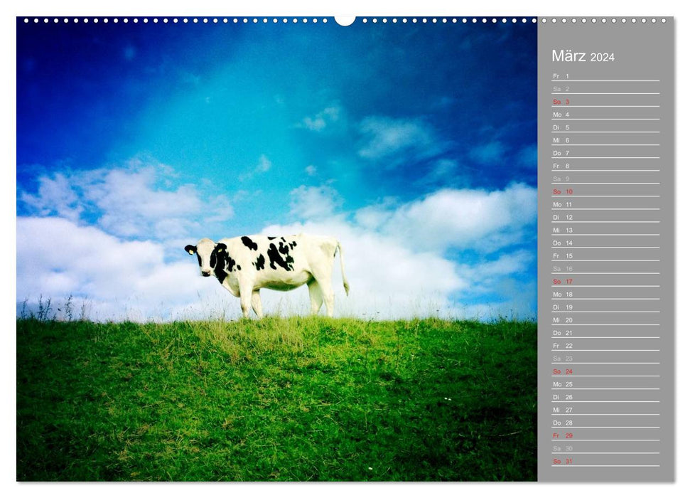 ON THE DIKE (CALVENDO Premium Wall Calendar 2024) 