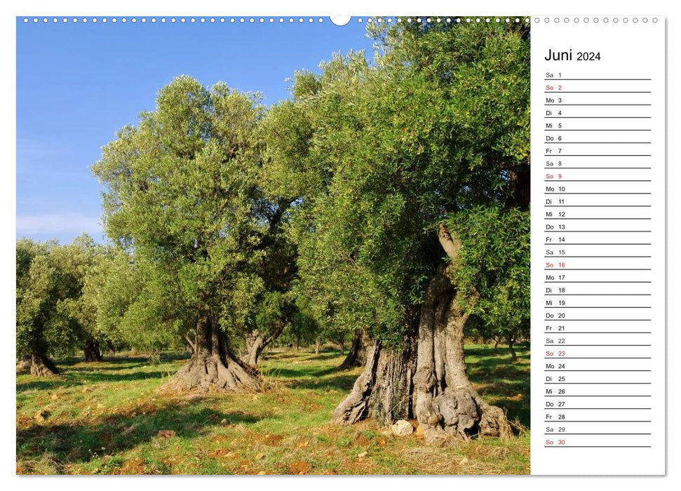 Apulia (CALVENDO wall calendar 2024) 