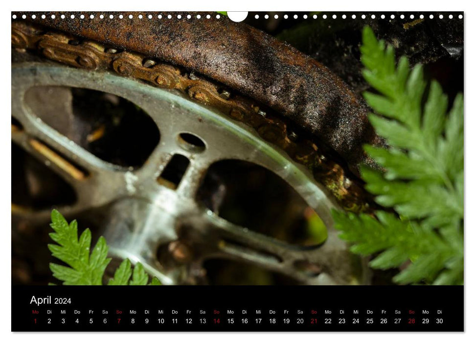 Forgotten Wheels 2024 (CALVENDO Wall Calendar 2024) 