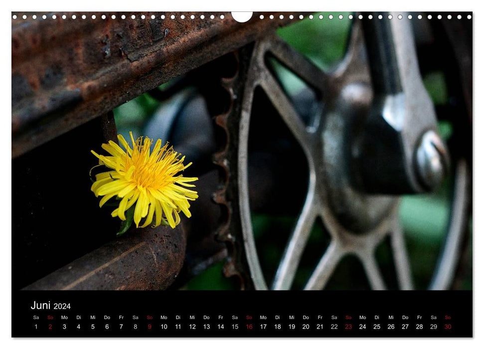 Forgotten Wheels 2024 (CALVENDO Wall Calendar 2024) 