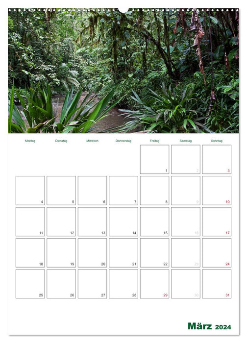 TRIBUTE TO COLOMBIA (CALVENDO wall calendar 2024) 