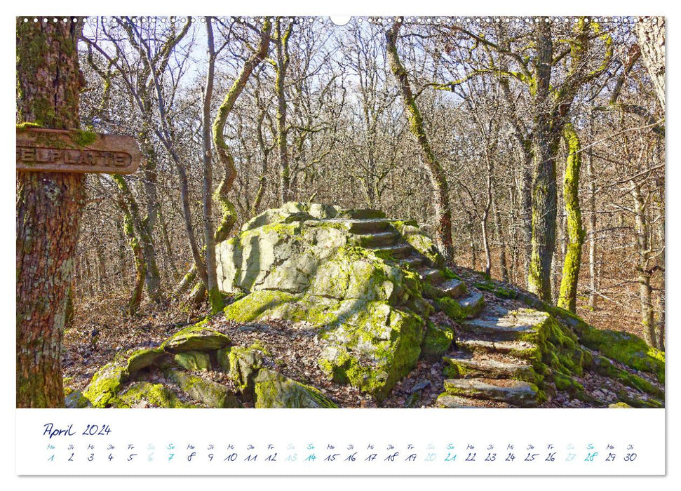 3BurgenWeg in Taunus - The adventure trail (CALVENDO wall calendar 2024) 