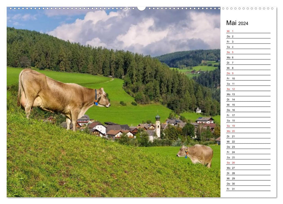 Pustertal - La vallée verte du Tyrol du Sud (Calendrier mural CALVENDO 2024) 