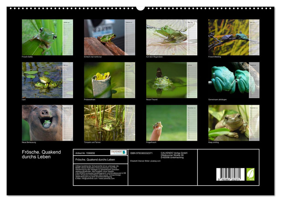 Frogs. Quacking through life (CALVENDO Premium Wall Calendar 2024) 