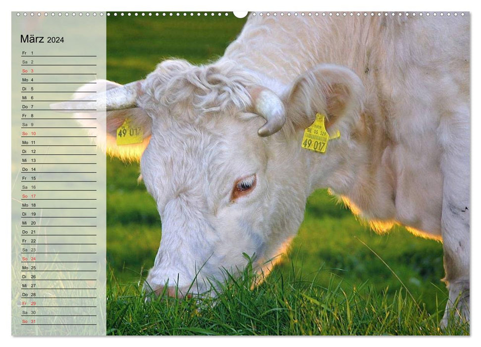 Agrarwirtschaft. Impressionen (CALVENDO Premium Wandkalender 2024)