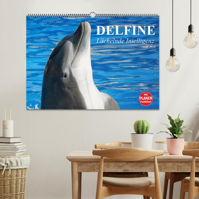 Delfine - Lächelnde Intelligenz (CALVENDO Wandkalender 2024)
