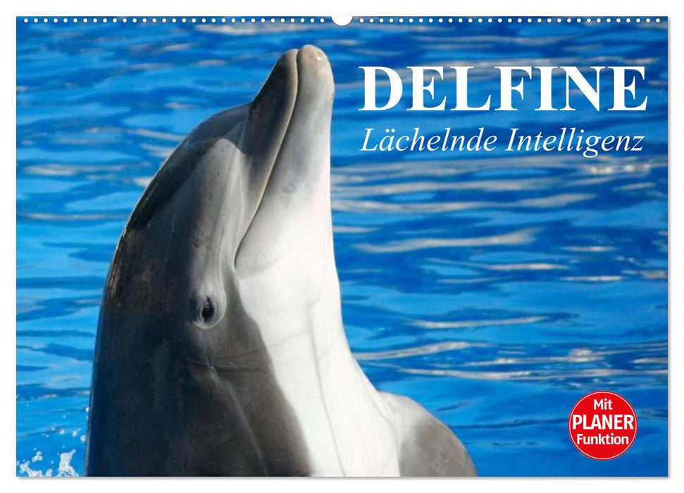 Dolphins - Smiling Intelligence (CALVENDO Wall Calendar 2024) 