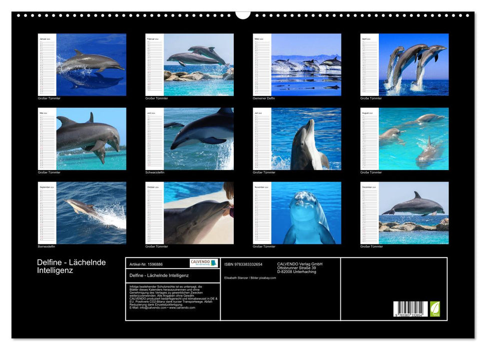 Dolphins - Smiling Intelligence (CALVENDO Wall Calendar 2024) 