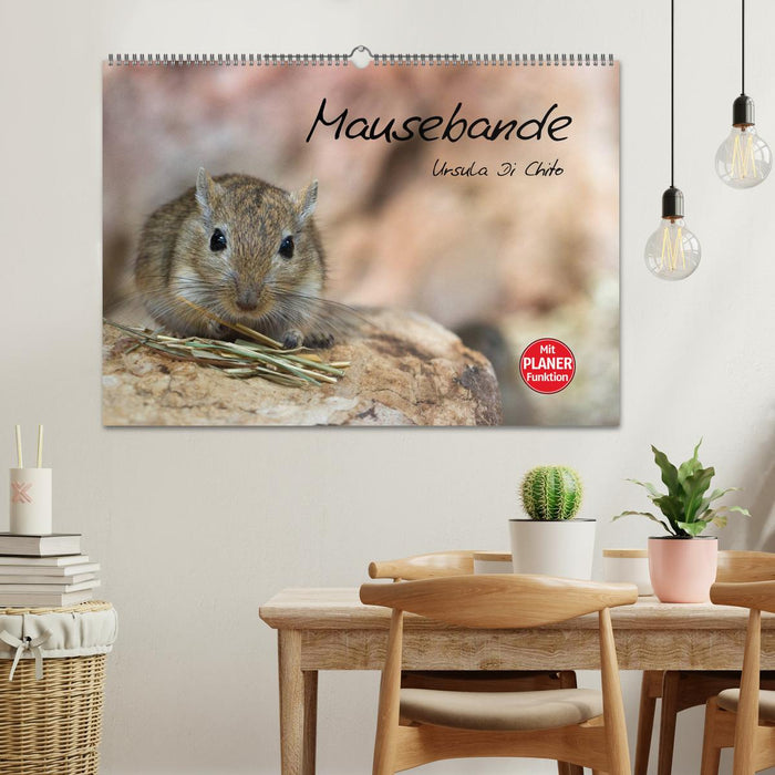 Mouse gang (CALVENDO wall calendar 2024) 