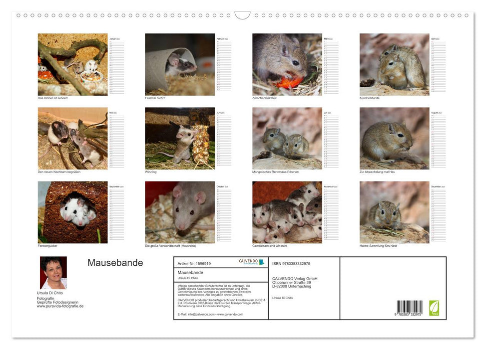 Mouse gang (CALVENDO wall calendar 2024) 