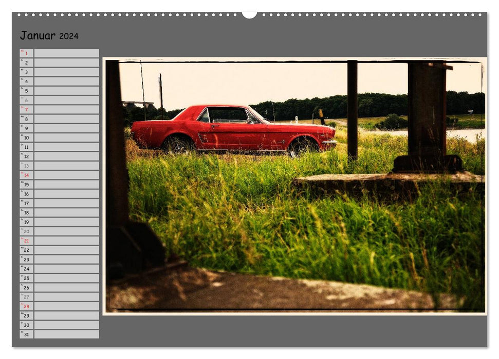 Classic cars on tour (CALVENDO Premium wall calendar 2024) 