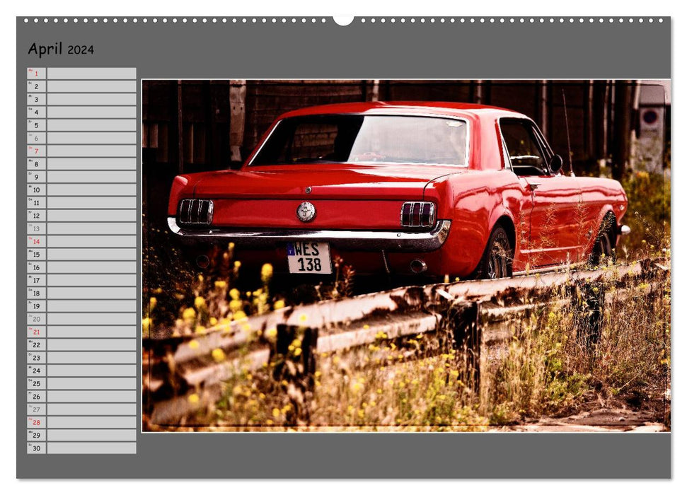 Classic cars on tour (CALVENDO Premium wall calendar 2024) 