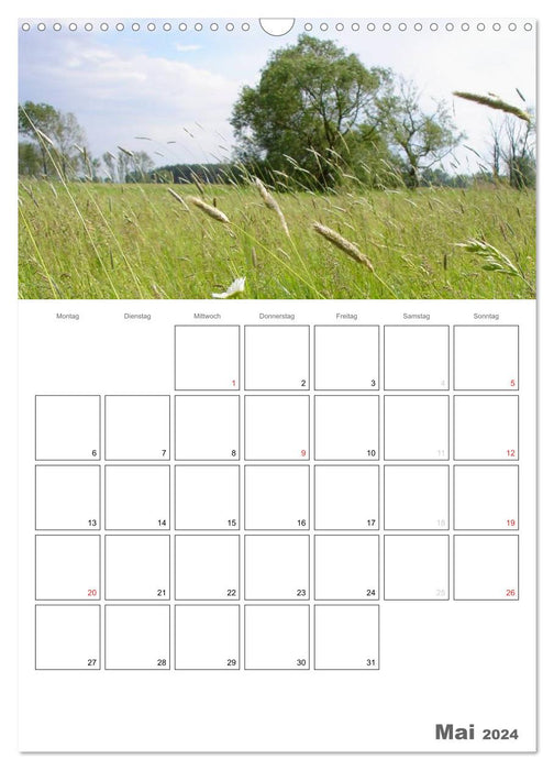 Havelland im Wandel der Jahreszeiten (CALVENDO Wandkalender 2024)