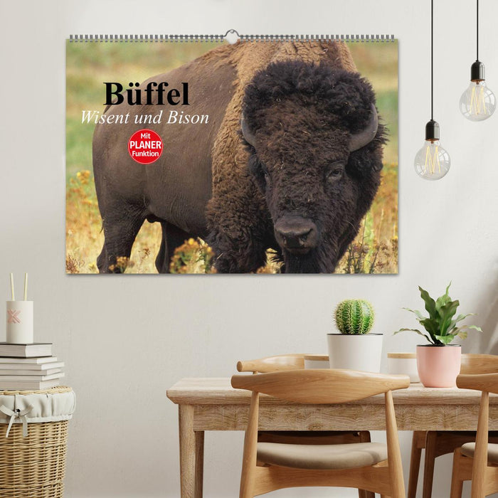 Büffel. Wisent und Bison (CALVENDO Wandkalender 2024)