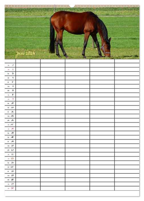 Farm Animals Family Planner (CALVENDO Premium Wall Calendar 2024) 