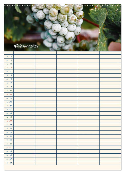 Rheingau - Riesling grapes (CALVENDO wall calendar 2024) 