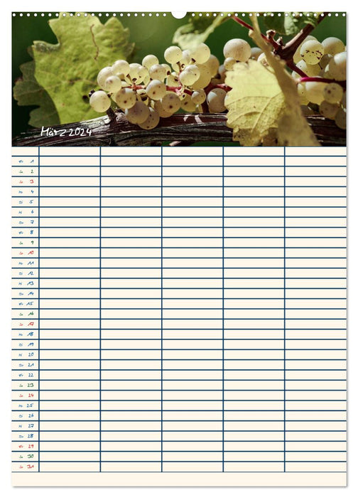 Rheingau - Riesling grapes (CALVENDO wall calendar 2024) 
