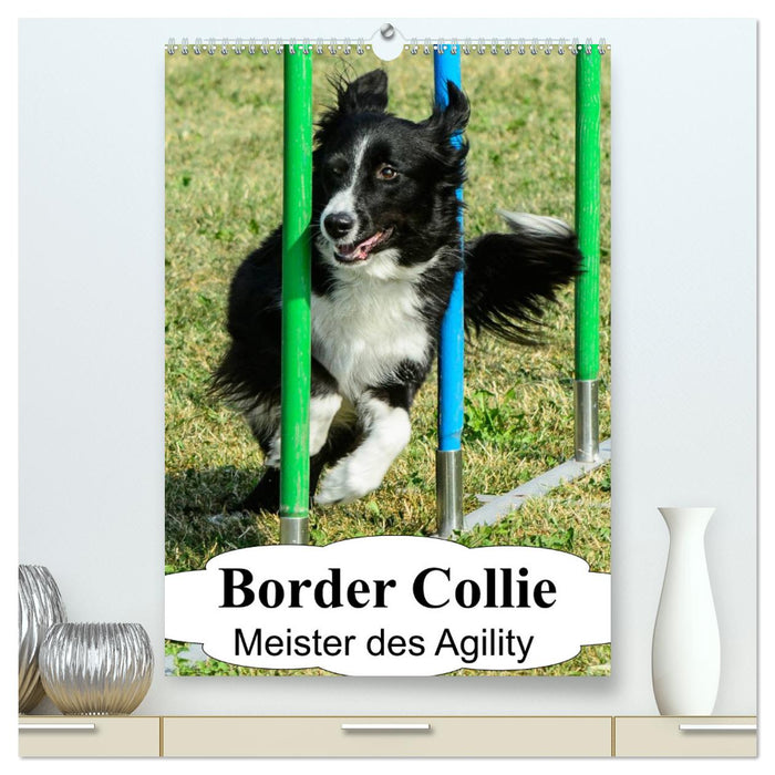 Border Collie Master of Agility (Calvendo Premium Calendrier mural 2024) 