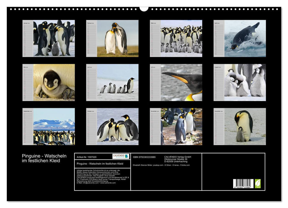 Pingouins - se dandinant en tenue de fête (Calendrier mural CALVENDO 2024) 