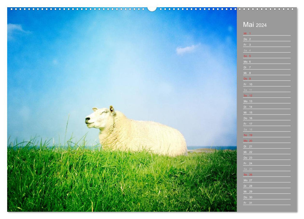 ON THE DIKE (CALVENDO wall calendar 2024) 