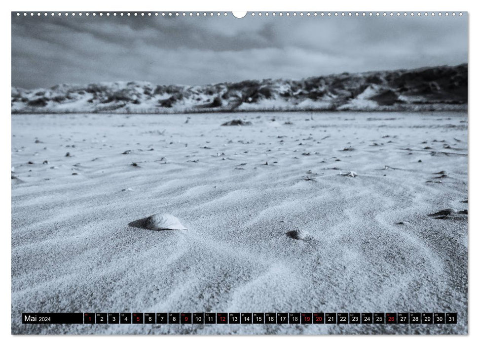 East Frisia Coast 2024 (CALVENDO Premium Wall Calendar 2024) 