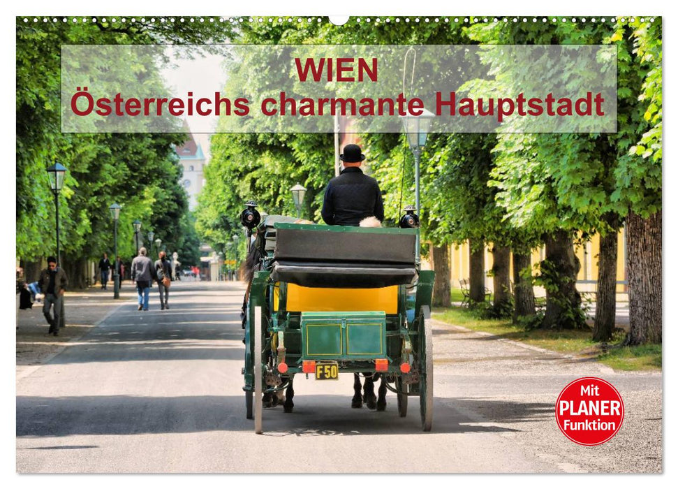 Wien - Österreichs charmante Hauptstadt (CALVENDO Wandkalender 2024)