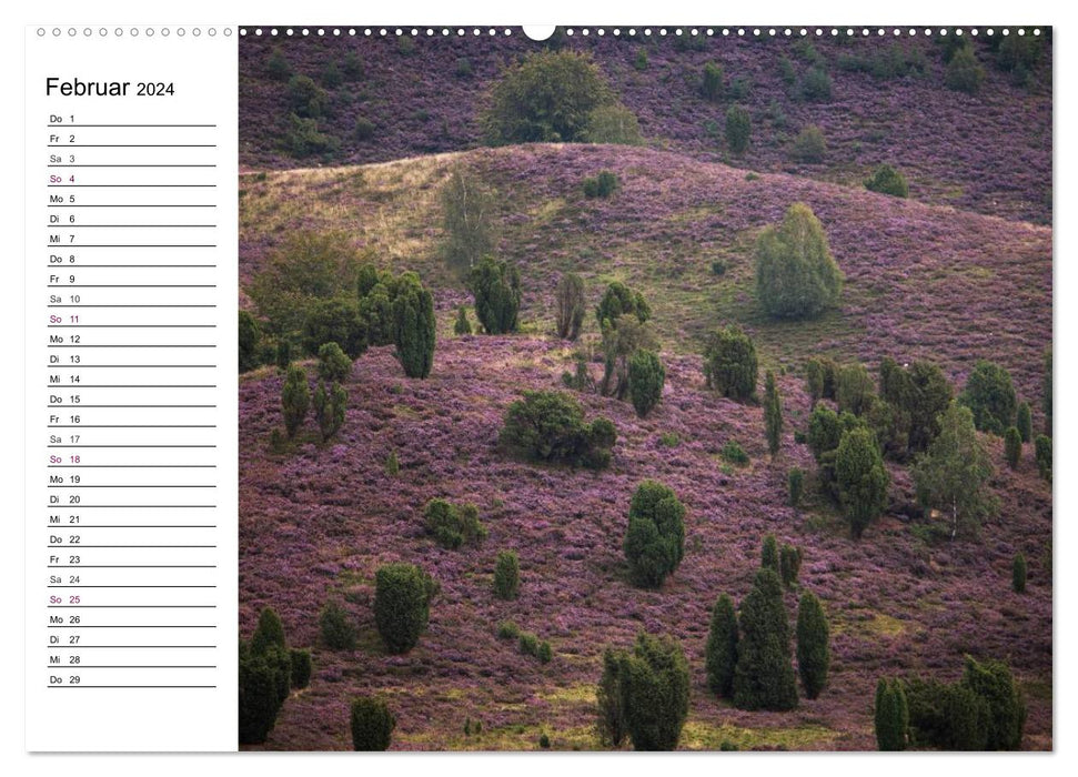 Lüneburger Heide (CALVENDO Premium Wandkalender 2024)