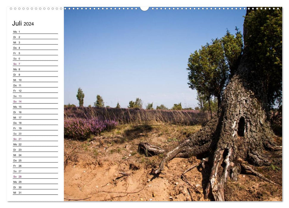 Lüneburg Heath (CALVENDO Premium Wall Calendar 2024) 