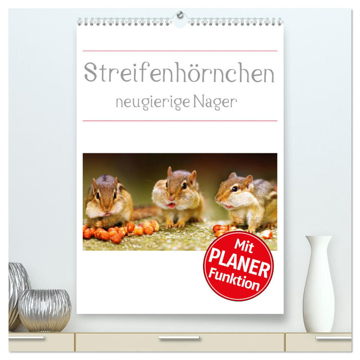 Chipmunks - curious rodents (CALVENDO Premium Wall Calendar 2024) 