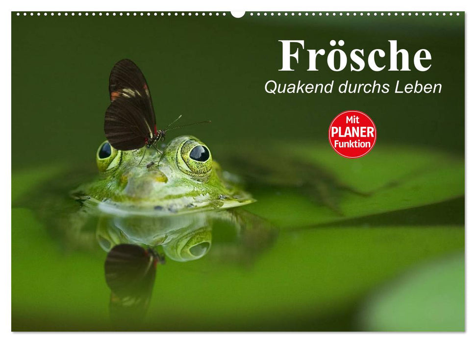 Frogs. Quacking through life (CALVENDO wall calendar 2024) 