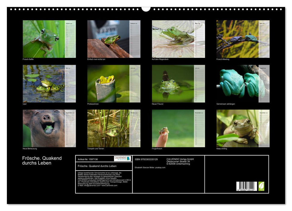 Frogs. Quacking through life (CALVENDO wall calendar 2024) 