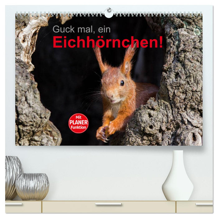 Look, a squirrel! (CALVENDO Premium Wall Calendar 2024) 