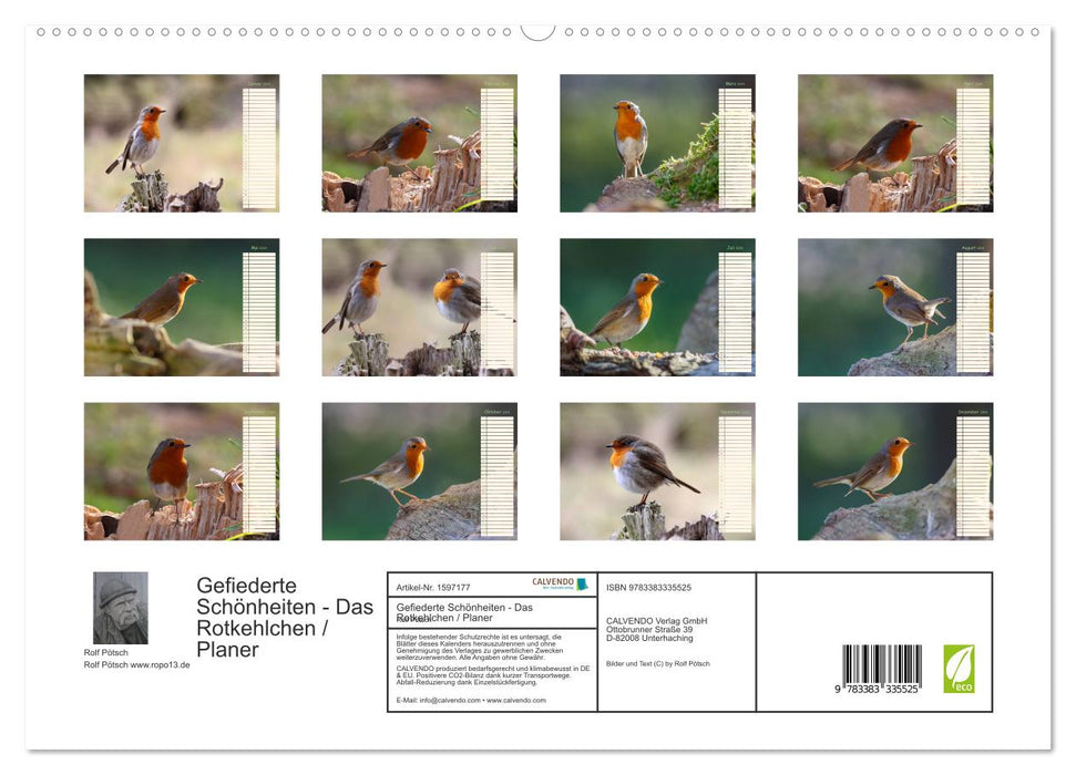 Feathered Beauties - The Robin / Planner (CALVENDO Premium Wall Calendar 2024) 