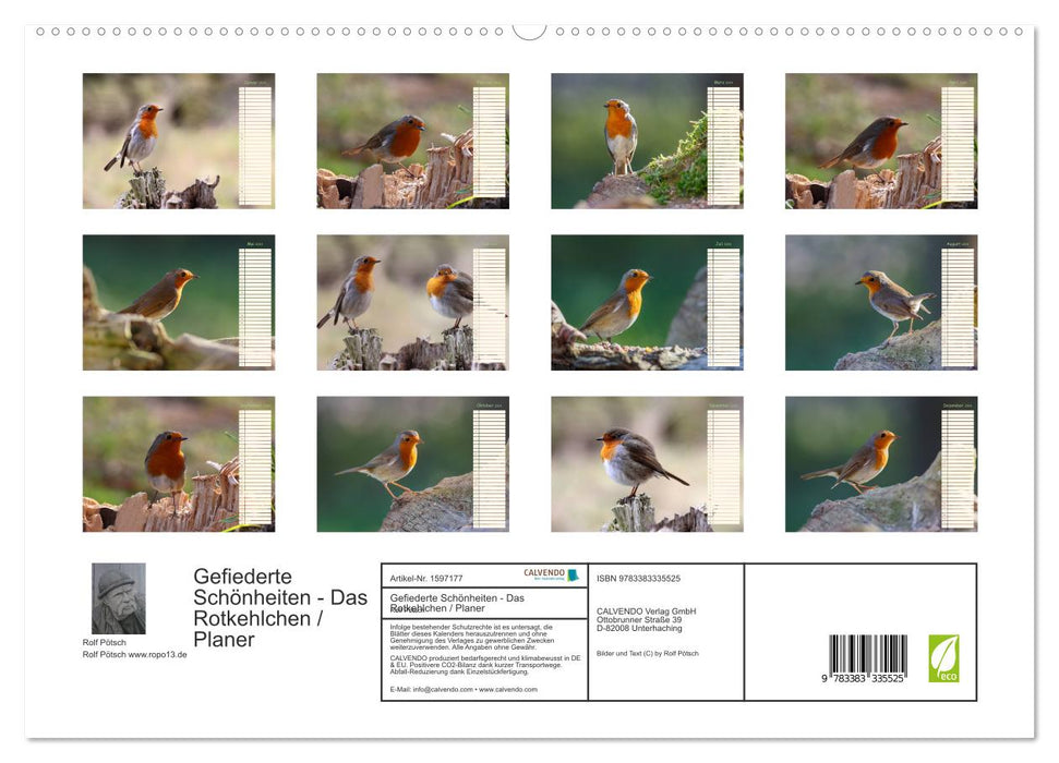 Beautés à plumes - The Robin / Planificateur (Calvendo Premium Wall Calendar 2024) 