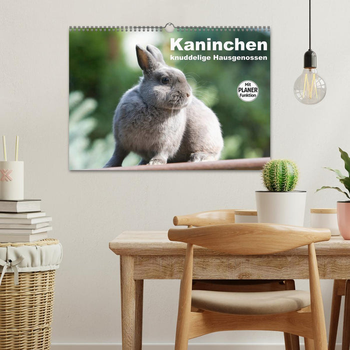 Kaninchen - knuddelige Hausgenossen (CALVENDO Wandkalender 2024)