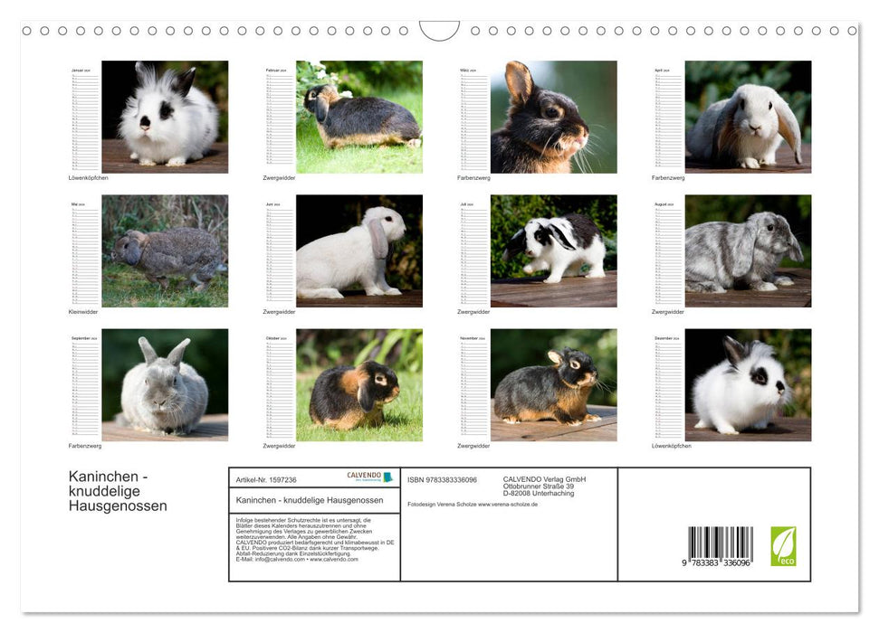 Rabbits - cuddly housemates (CALVENDO wall calendar 2024) 