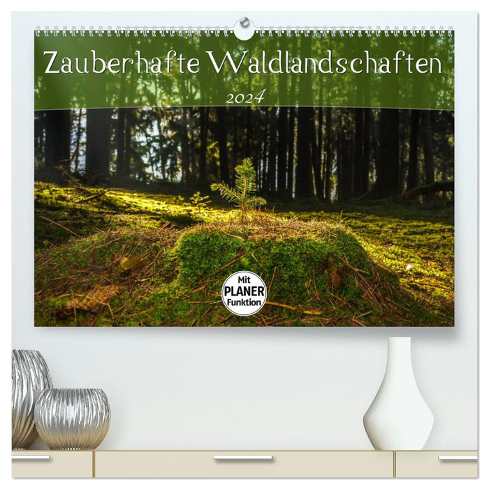 Enchanting forest landscapes (CALVENDO Premium Wall Calendar 2024) 