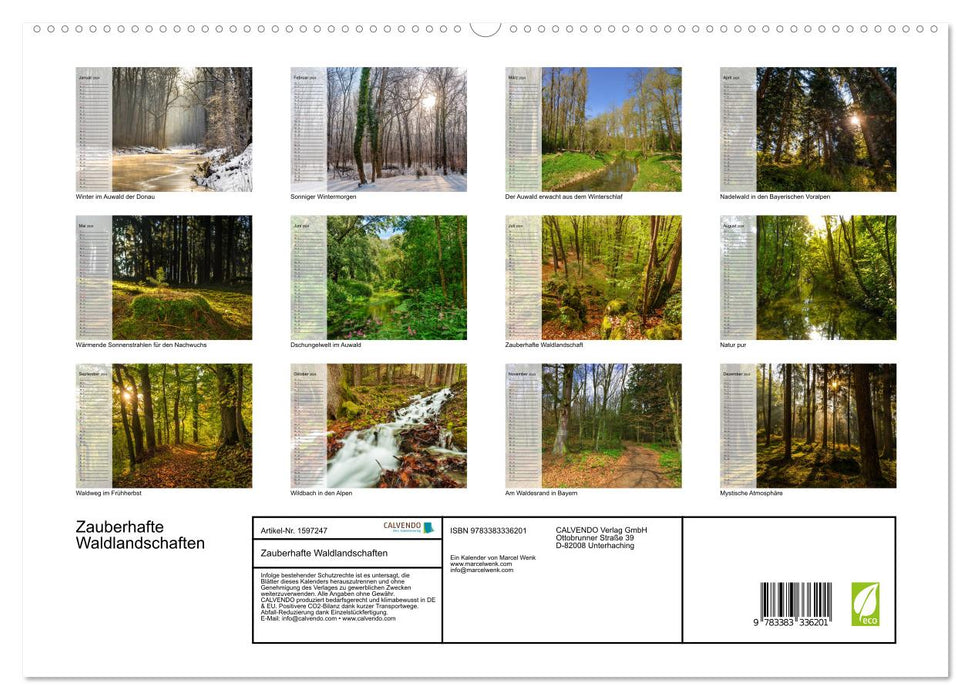 Enchanting forest landscapes (CALVENDO Premium Wall Calendar 2024) 