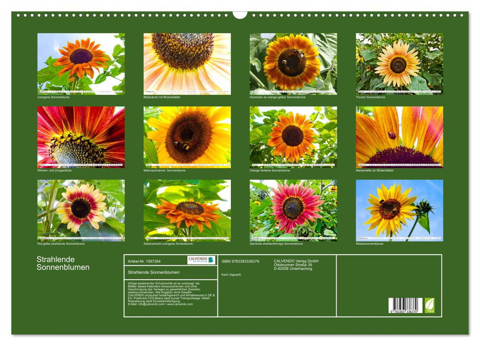 Strahlende Sonnenblumen (CALVENDO Wandkalender 2024)