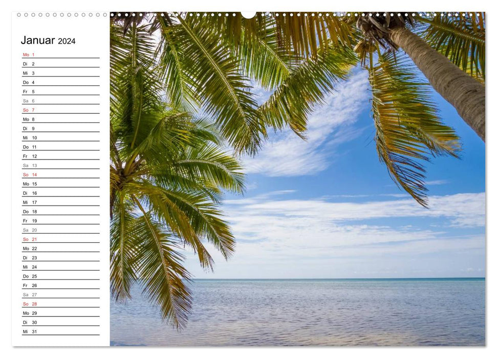 FLORIDA KEYS und KEY WEST Malerische Reiseroute (CALVENDO Wandkalender 2024)