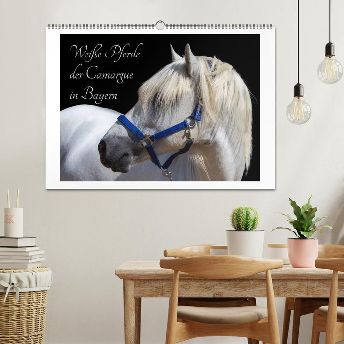 White horses of the Camargue in Bavaria (CALVENDO wall calendar 2024) 