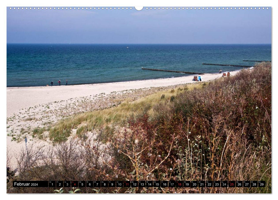 Artists' Paradise Ahrenshoop (CALVENDO Premium Wall Calendar 2024) 