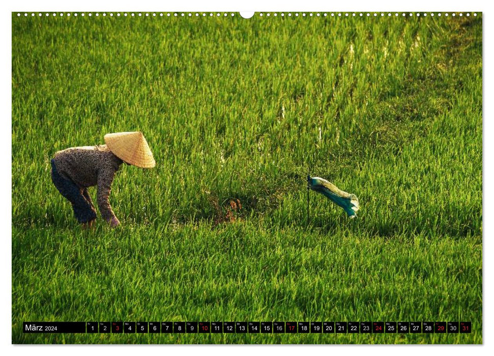 VIETNAM - Von Saigon nach Hanoi (CALVENDO Wandkalender 2024)