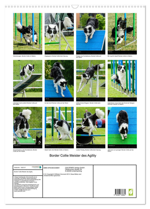 Border Collie Master of Agility (CALVENDO Wall Calendar 2024) 